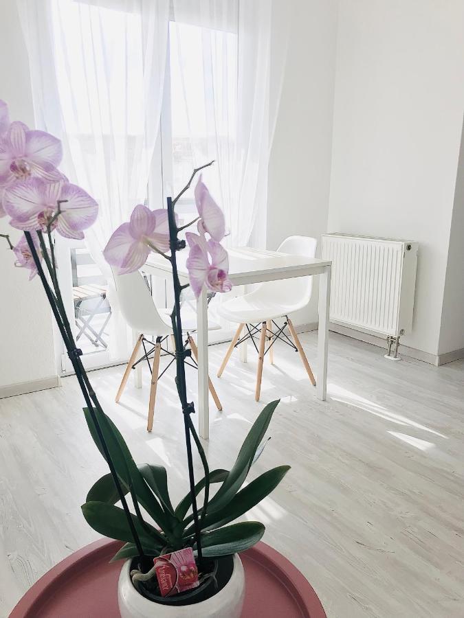 Belvárosi Stúdió Apartman Kecskemét Exterior foto